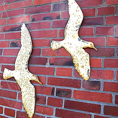 Wohnung-moewe-2 * فيسترلاند